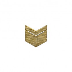 Знак различия старшина (золото)